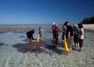 Lady Elliot Island Eco Resort Exterior photo